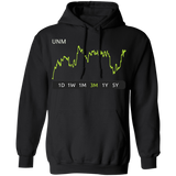 UNM Stock 3m Pullover Hoodie