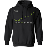 PINS Stock 1m Pullover Hoodie