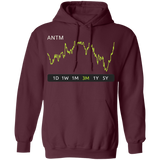ANTM Stock 3m Pullover Hoodie
