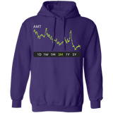 AMT Stock 3m Pullover Hoodie