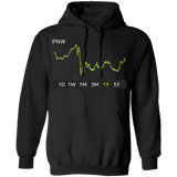 PNW Stock 1y Pullover Hoodie