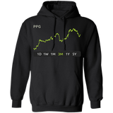 PPG Stock 3m Pullover Hoodie