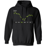 HSY Stock 1m Pullover Hoodie