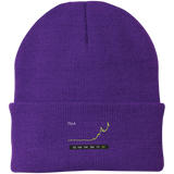 TSLA Stock 5Y Knit Cap