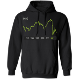 HIG Stock 5y Pullover Hoodie