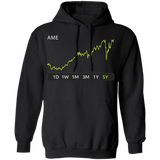 AME Stock 5y Pullover Hoodie
