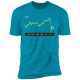 AIV Stock 5y Premium T-Shirt