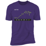 ANTM Stock 5y Premium T-Shirt