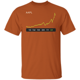 AAPL 5Y Stock Regular T-Shirt