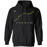 LB Stock 3m Pullover Hoodie