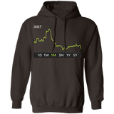 AMT Stock 1m Pullover Hoodie