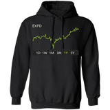 EXPD Stock 1y Pullover Hoodie