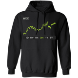 WEC Stock 3m Pullover Hoodie