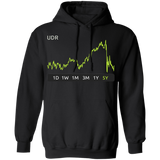 UDR Stock 5y Pullover Hoodie