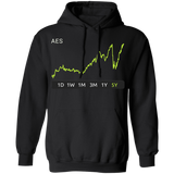 AES Stock 5y Pullover Hoodie