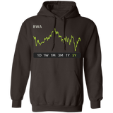 BWA Stock  5y Pullover Hoodie