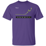 TSLA Stock 5Y Regular T-Shirt