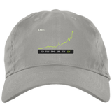 AMD Stock Dad Cap