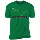 BR Stock 1m Premium T-Shirt