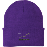 ADBE Stock 5Y Knit Cap