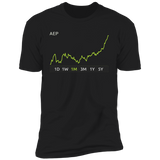 AEP Stock 1m Premium T-Shirt