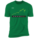 BSX Stock 5y Premium T-Shirt