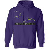 APA Stock 1y Pullover Hoodie