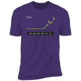 TSLA Stock 5Y Premium T-Shirt