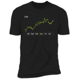 GM Stock 3m Premium T-Shirt