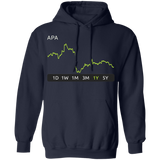 APA Stock 1y Pullover Hoodie