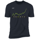 AEP Stock 1m Premium T-Shirt