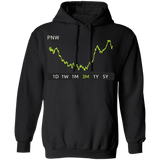 PNW Stock 3m Pullover Hoodie
