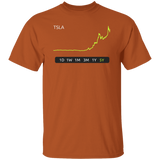 TSLA Stock 5Y Regular T-Shirt