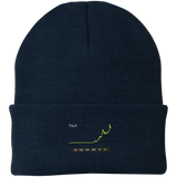 TSLA Stock 5Y Knit Cap