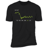 NTAP Stock 1y Premium T Shirt