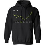 ANTM Stock 1m Pullover Hoodie