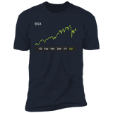 BSX Stock 5y Premium T-Shirt