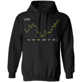 USB Stock 1m Pullover Hoodie