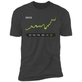 BRKB Stock 5Y Premium T-Shirt
