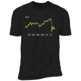 AIV Stock 5y Premium T-Shirt