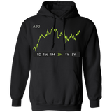 AJG Stock 3m Pullover Hoodie