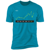 AES Stock 5y Premium T-Shirt