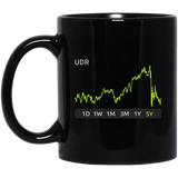 UDR Stock 5y Mug