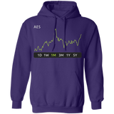 AES Stock 1m Pullover Hoodie