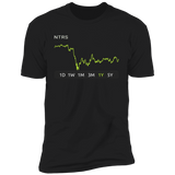 NTRS Stock 1y Premium T Shirt