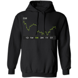 GM Stock 1m Pullover Hoodie