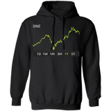 SNE Stock 1y Pullover Hoodie