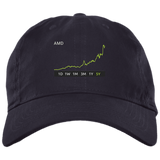 AMD Stock Dad Cap