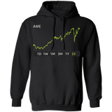 AME Stock 5y  Pullover Hoodie