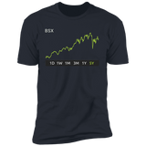 BSX Stock 5y Premium T-Shirt